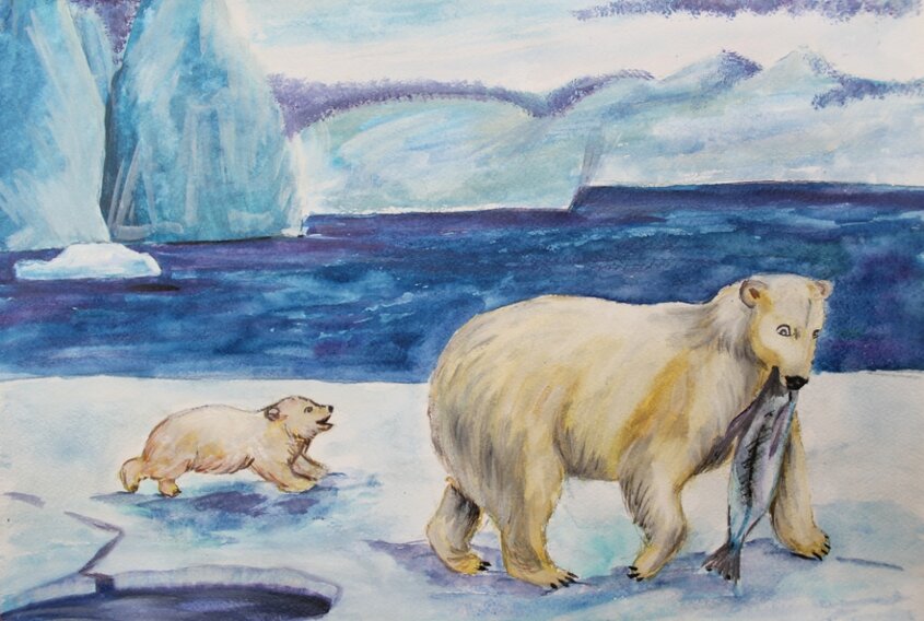 Рисунок от южных морей до полярного края. Полярный край рисунок. Полярный медведь картина маслом. Полярный медведь. Рисунки художников. Полярный медведь конкурс рисунков.